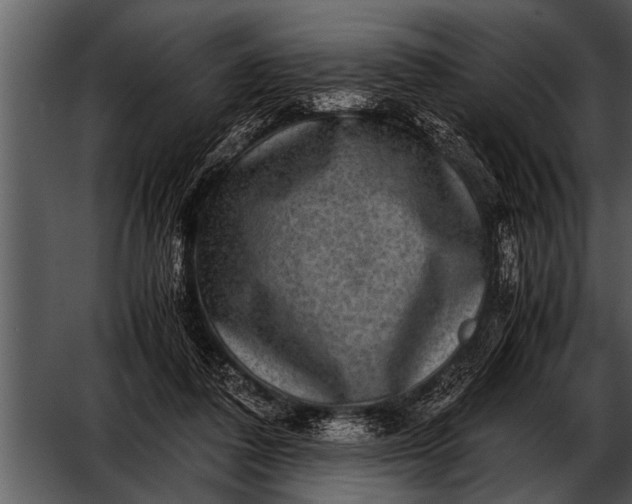 X0000052630308200507160137