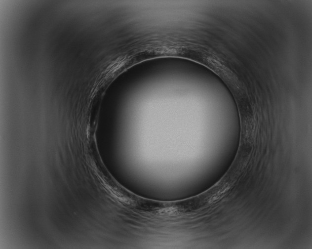 X0000052630309200507160137