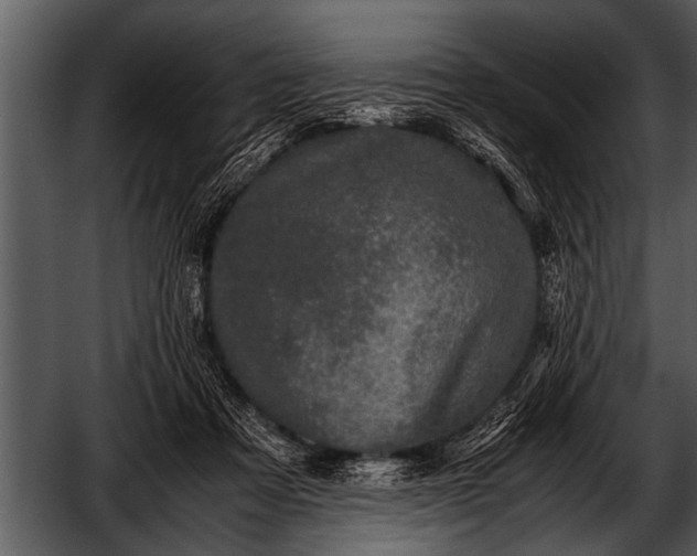 X0000052630313200507160137