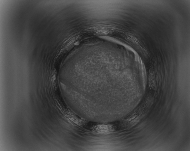 X0000052630314200507160137