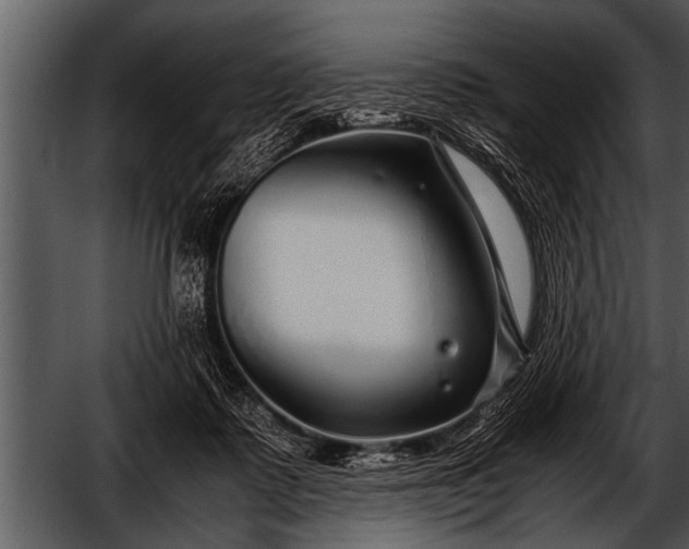 X0000052630315200507160137