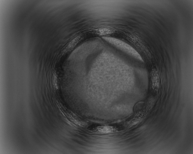 X0000052630316200507160137