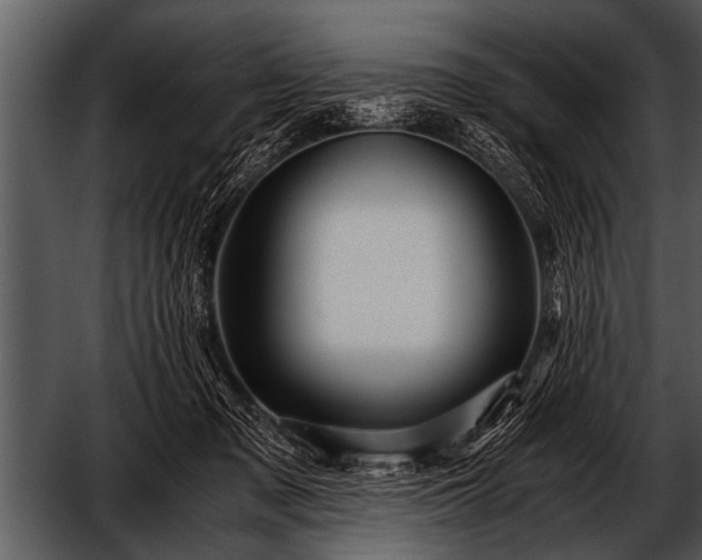 X0000052630317200507160137