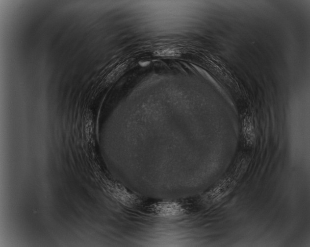 X0000052630322200507160137