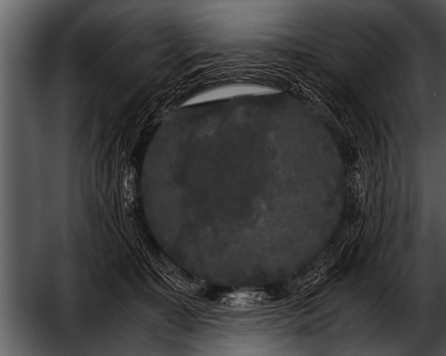 X0000052630323200507160137