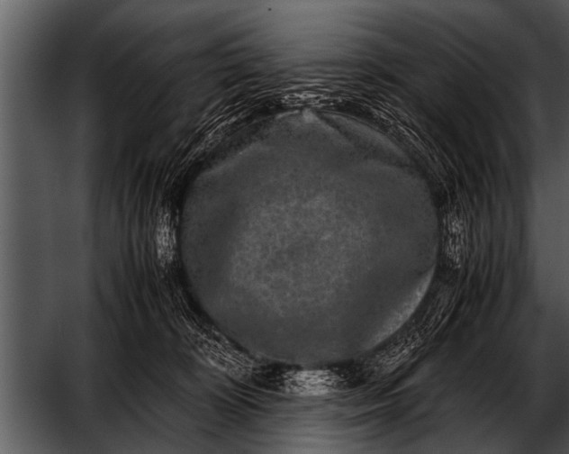 X0000052630324200507160137