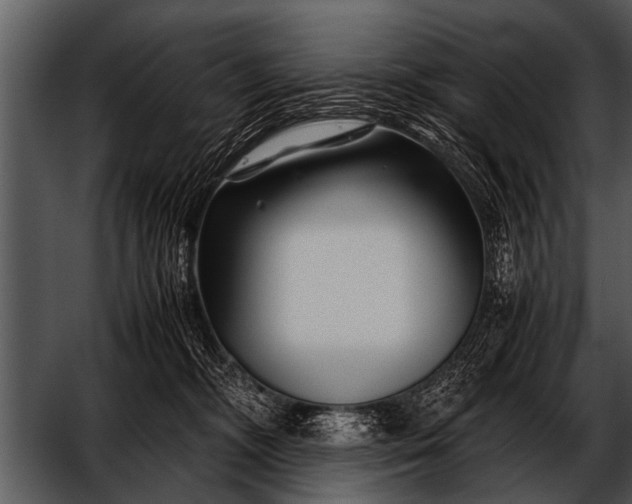 X0000052630326200507160137