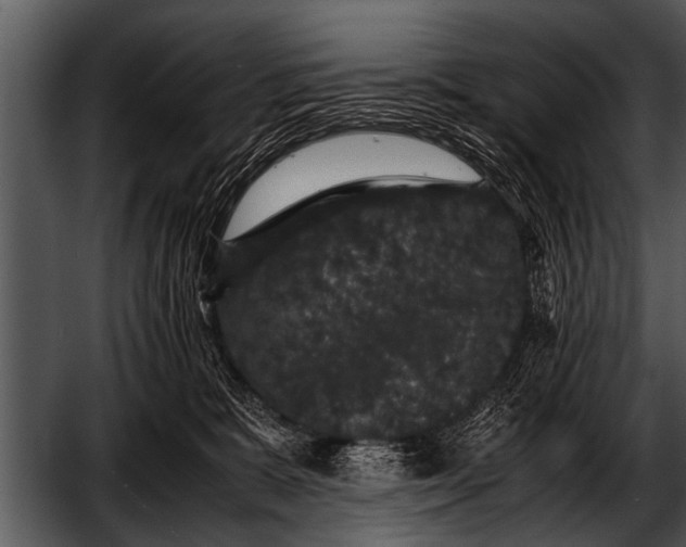 X0000052630327200507160137