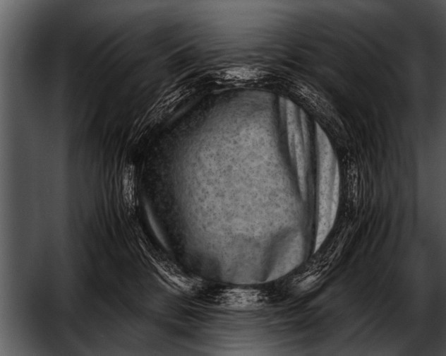 X0000052630328200507160137