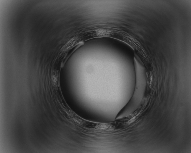 X0000052630329200507160137