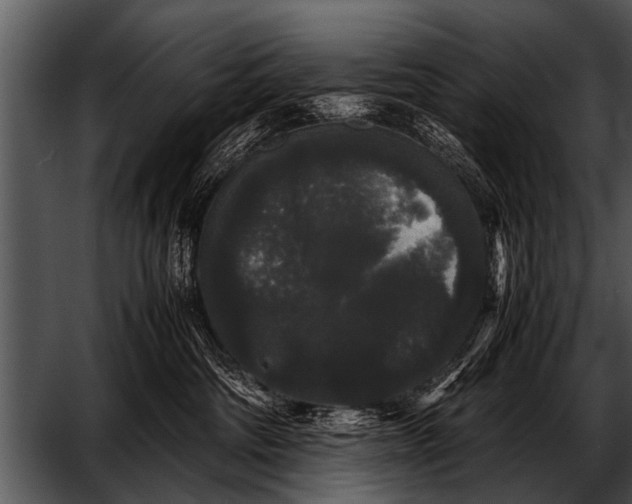 X0000052630330200507160137