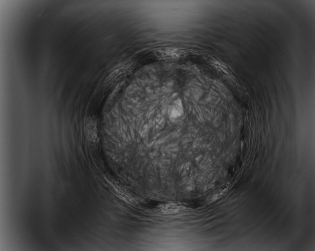 X0000052630331200507160137
