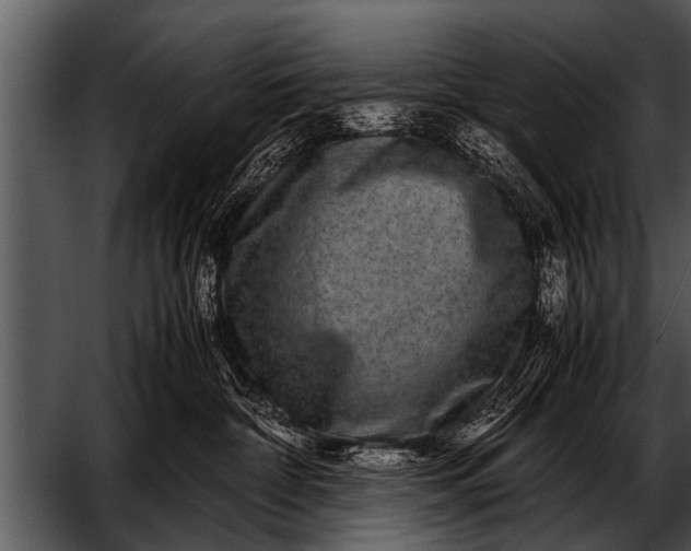 X0000052630332200507160137