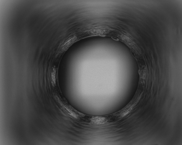 X0000052630334200507160137