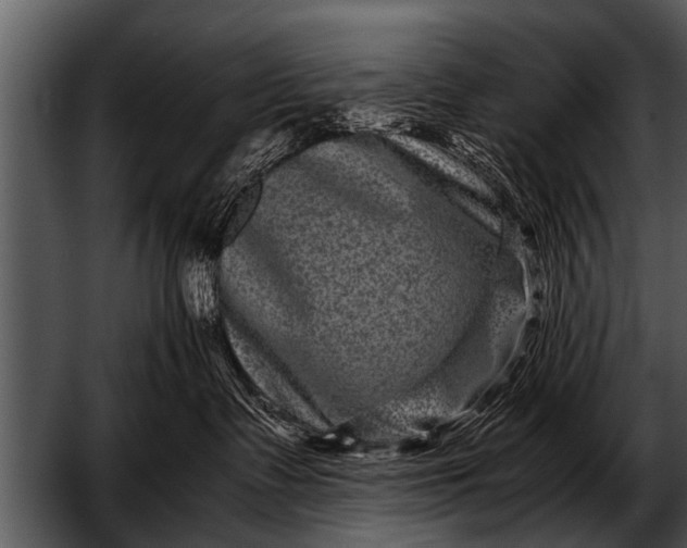 X0000052630335200507160137