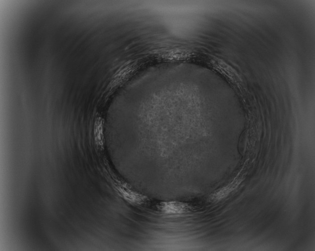 X0000052630336200507160137