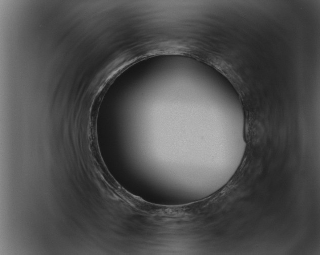 X0000052630338200507160136