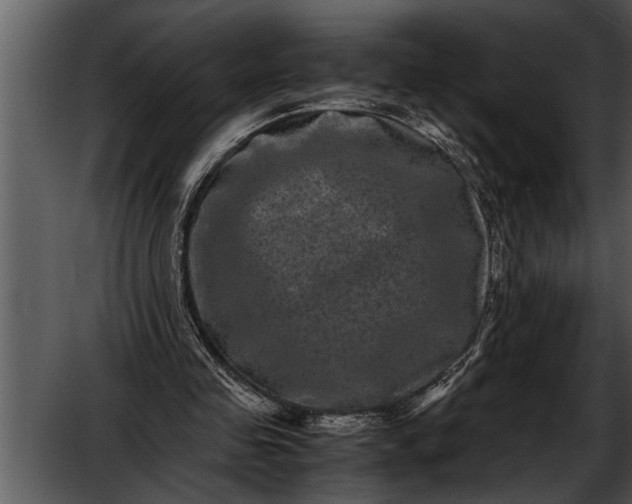 X0000052630341200507160136