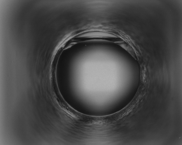 X0000052630344200507160136