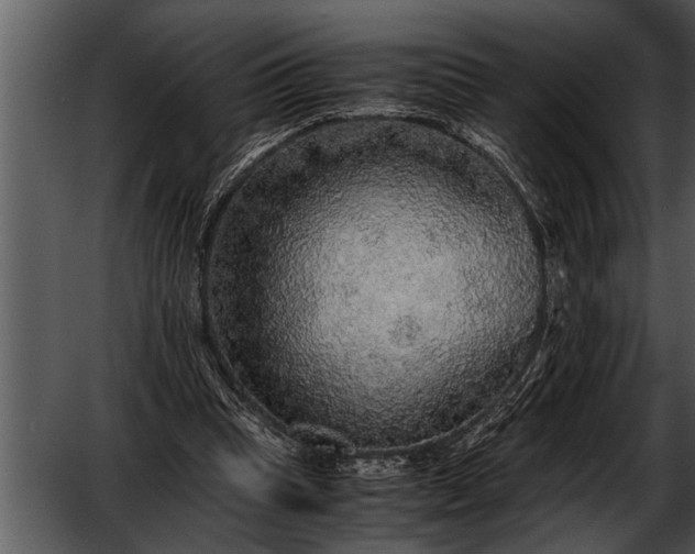 X0000052630345200507160136