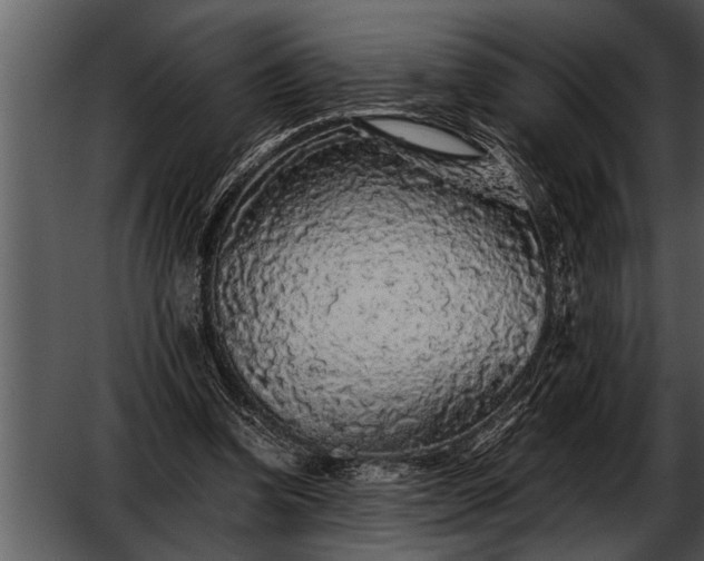 X0000052630346200507160136