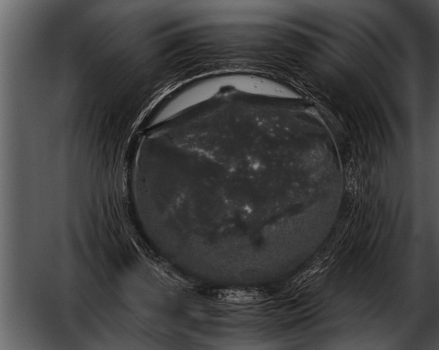 X0000052630347200507160136