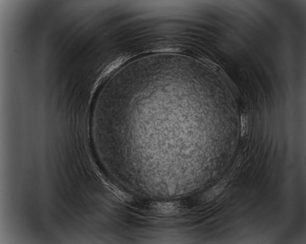 X0000052630349200507160136