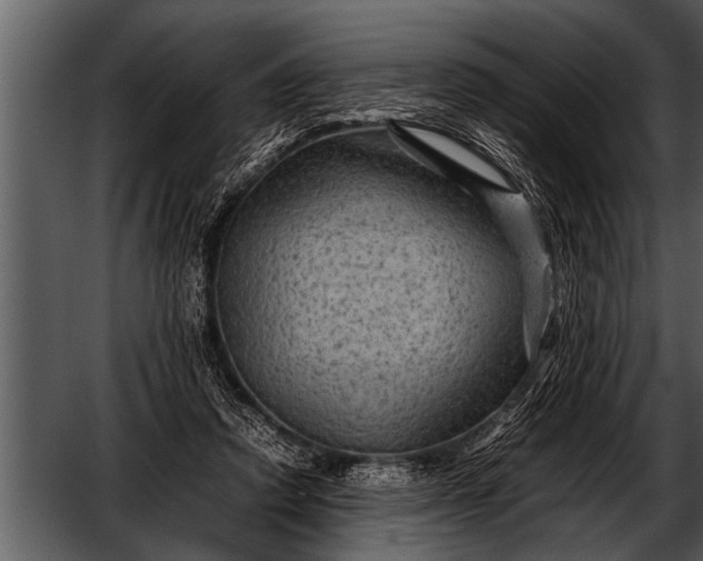 X0000052630354200507160136