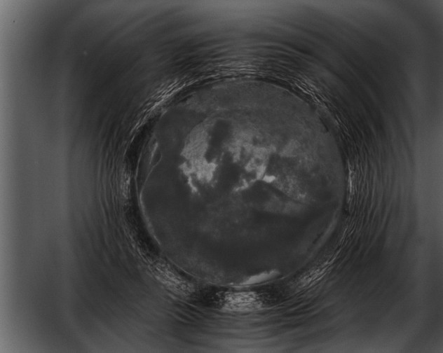 X0000052630355200507160136