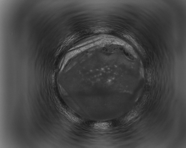 X0000052630357200507160136