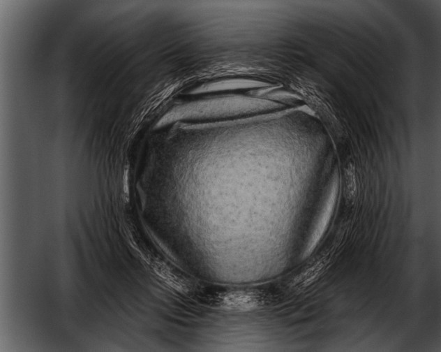 X0000052630358200507160136