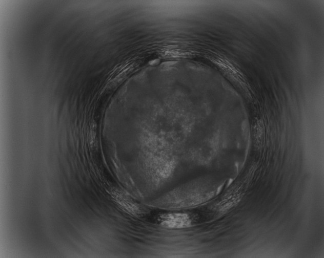 X0000052630361200507160137