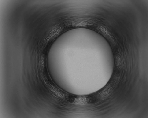 X0000052630362200507160137
