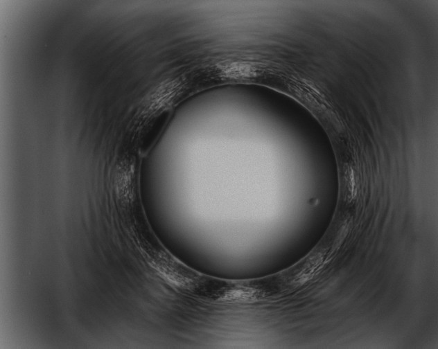 X0000052630364200507160137