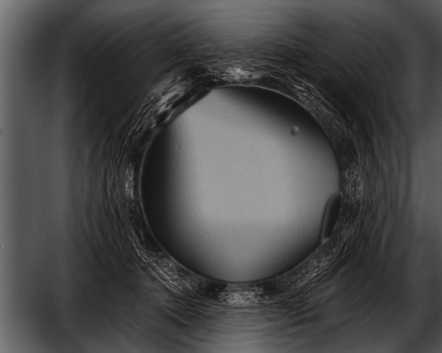 X0000052630368200507160137