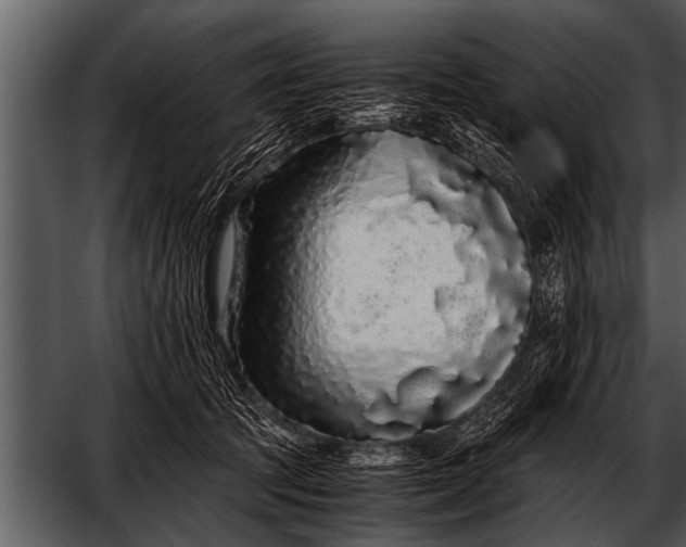 X0000052630369200507160137