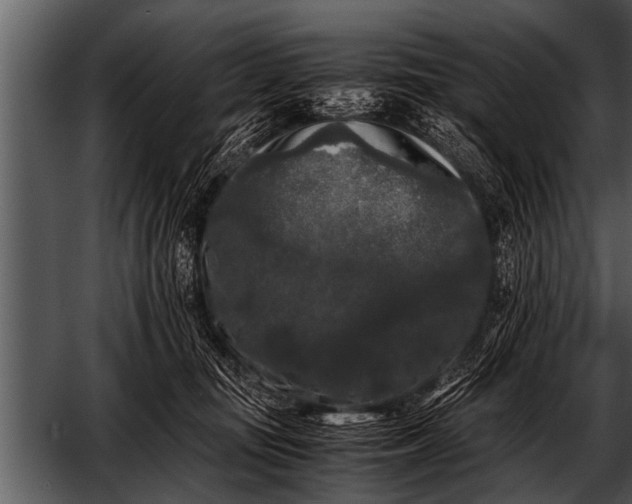 X0000052630371200507160137
