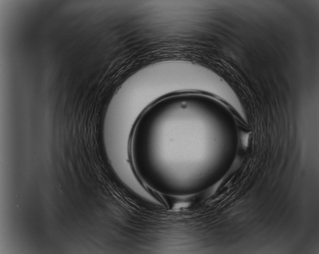 X0000052630372200507160137