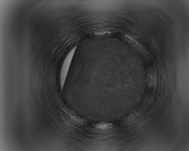 X0000052630375200507160137
