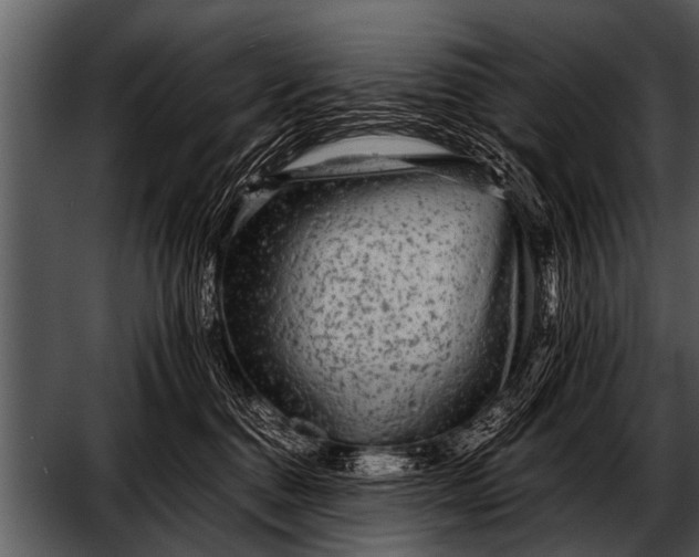 X0000052630376200507160137