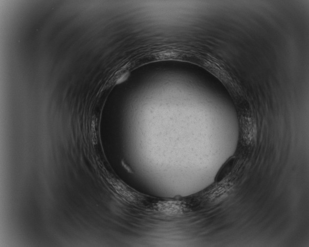 X0000052630378200507160137