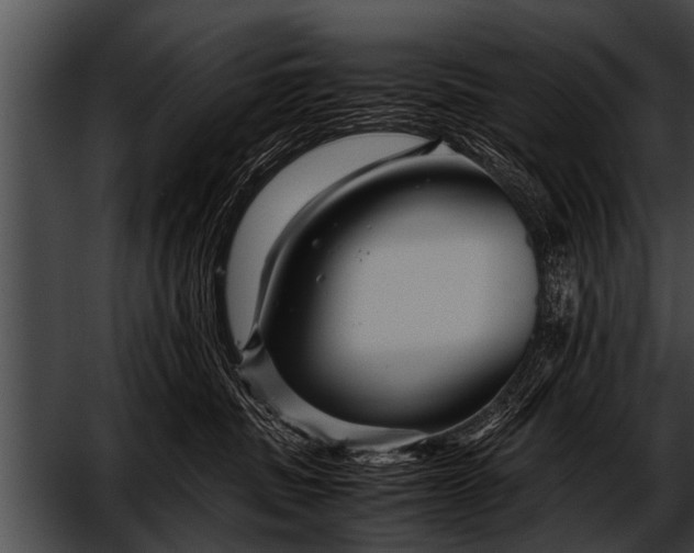 X0000052630379200507160137