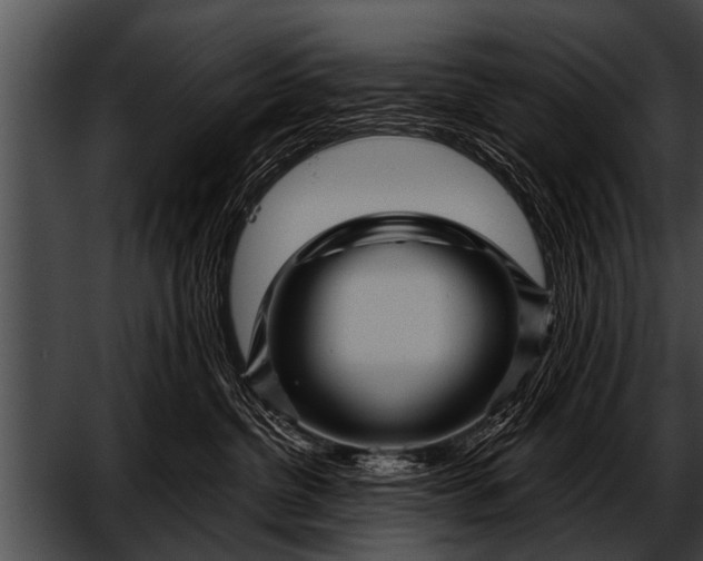 X0000052630380200507160137