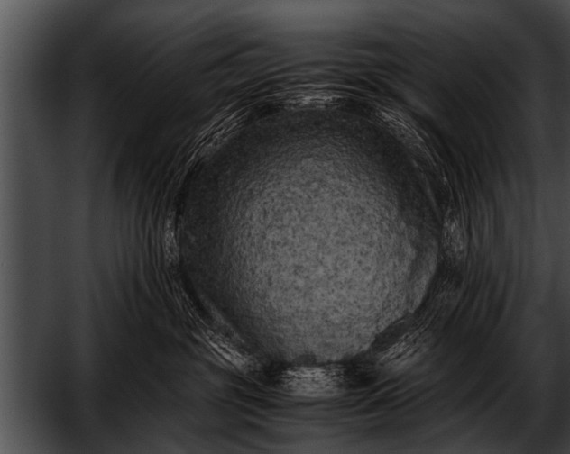 X0000052630381200507160137