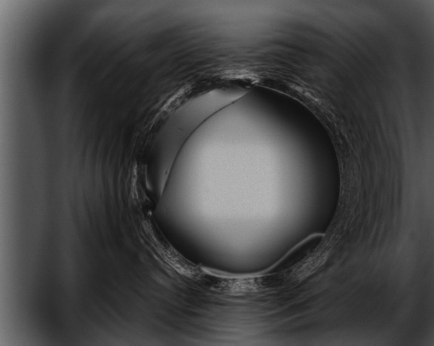 X0000052630384200507160137