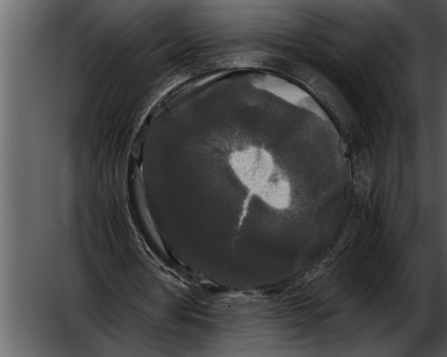 X0000052630386200507160136