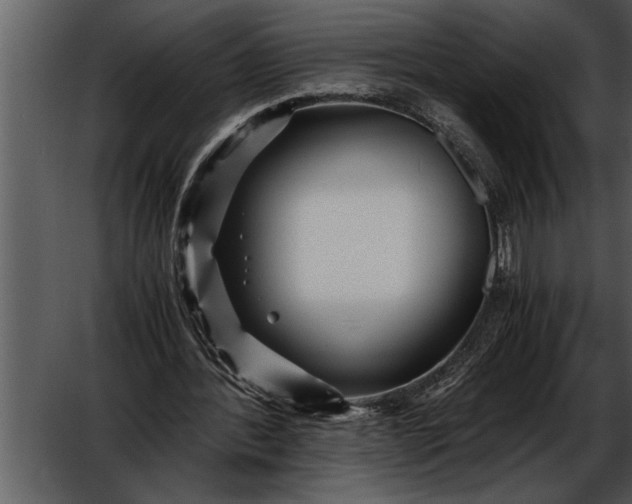 X0000052630388200507160136