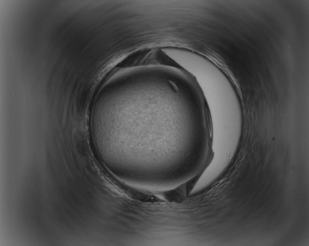 X0000052630389200507160136