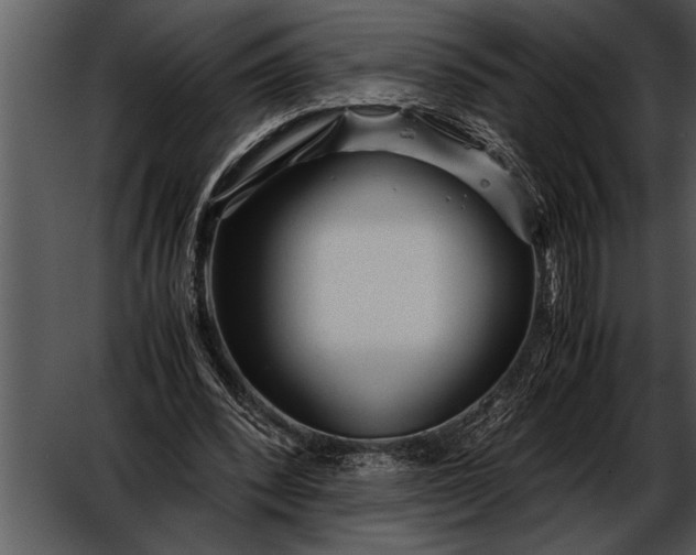 X0000052630392200507160136