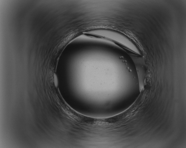 X0000052630393200507160136